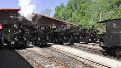 Mega Stoomfestival - 50 jaar Blonay- Chamby (CH) 