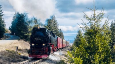 Spotting steam trains along the Harzer Narrow Gauge Railways 