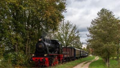 MBS Autumn Steam Days 2024