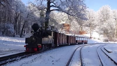 Met Stoom door een Winterwonderland: De Waldeisenbahn Muskau