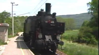 Steam during 110 years of the Salzburger Lokalbahn