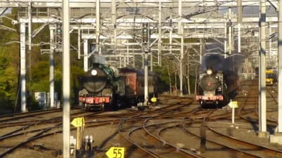 2015 - Sydney's Great Steam Train Race