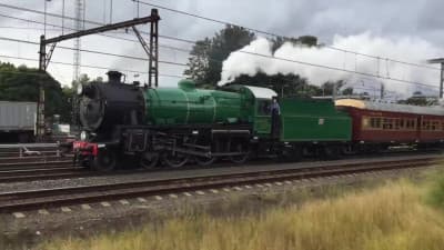 2017 - After Sydney's Great Steam Train Race