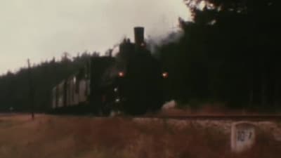 Class 399 steam locomotives on the Waldviertel Railway - 1980/1981