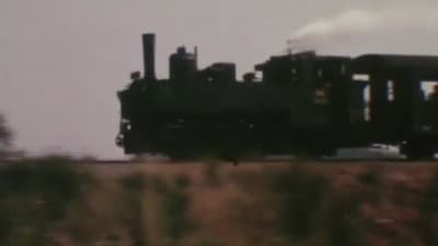 Steam locomotive 298.207 on the Walviertel Railway - 1980