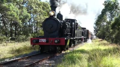 Steam locomotives in action - Compilation 2019
