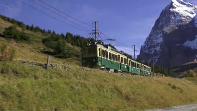 Wengernalp Railway, electric railcars class BDhe 4/4 - Numbers 101-118