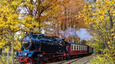 Autumn in the Harz (D) - 2021