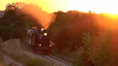 A beautiful summer evening with steam trains