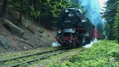The Harz Narrow Gauge Railway