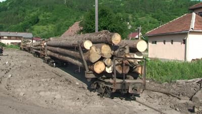 Episode 2: Logging