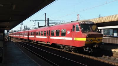 De Belgische "Varkensneuzen" - Special NMBS MS75 treinstellen