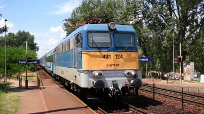 Zügebeobachten in Ungarn