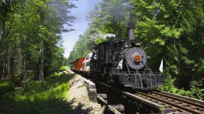 Three Maine 2-Foot Steam Locomotives on the WW&F