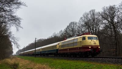 Een Class 103, een ‘Eierköpfe’ en meer in het Duitse Hämelerwald